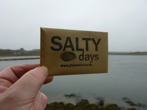 salty days envelope